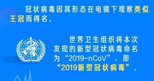 1583231819135343.png 1.png