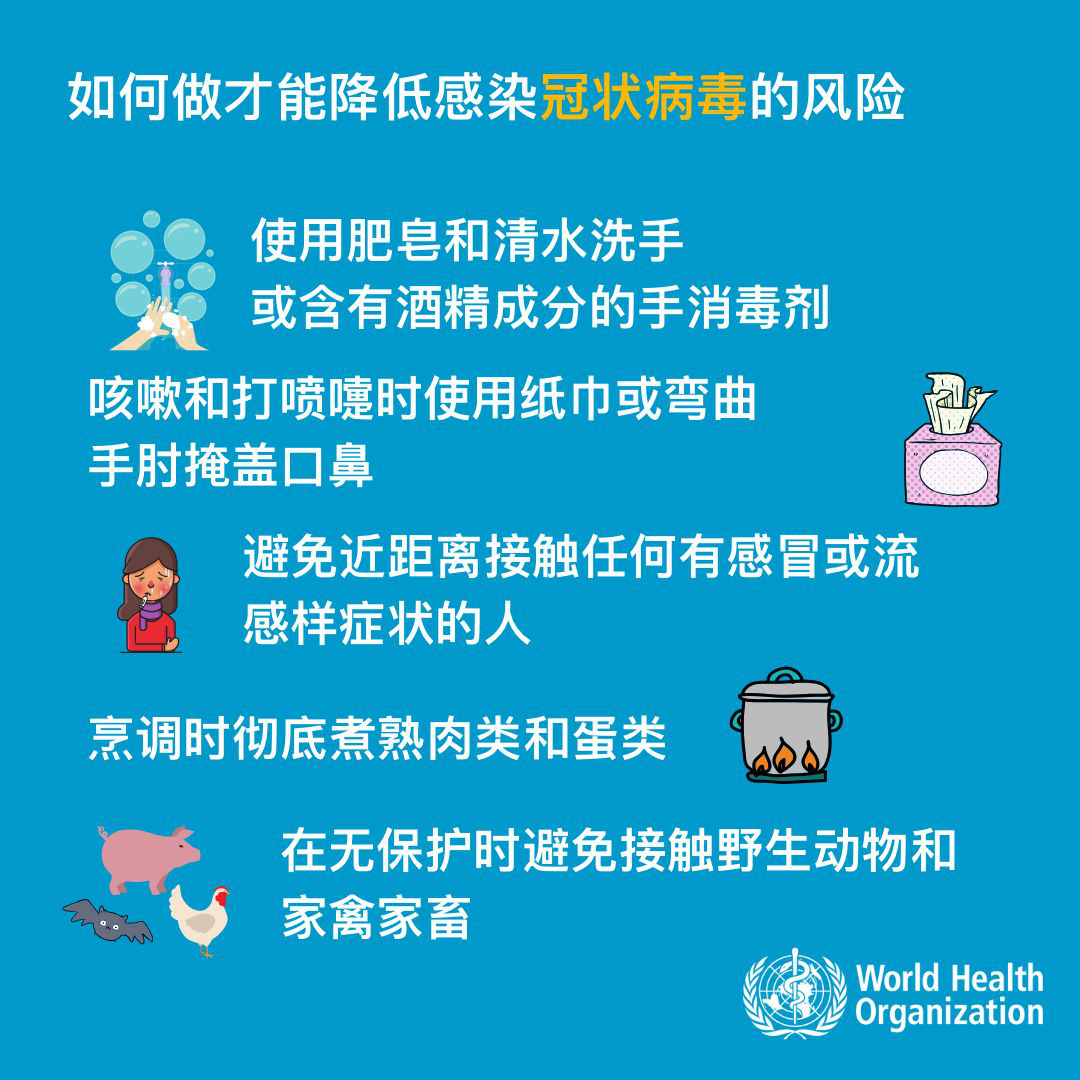 1583231971184003.png 6.png