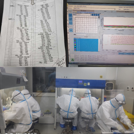 1608014704583951.png 10Ìì3.png